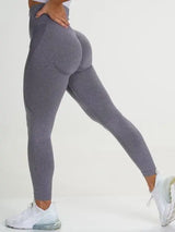 Seamless Leggings - HCDSHOP