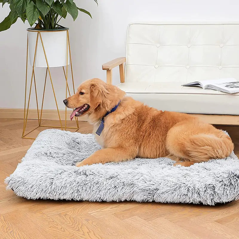 Cama de felpa lavable para perros