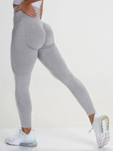 Seamless Leggings - HCDSHOP